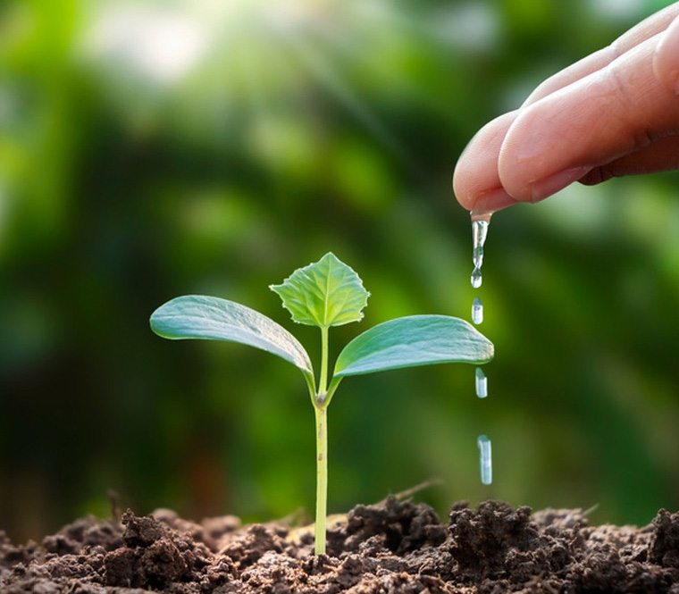 �������ʹ���-��Ӫ��ȫ,����һ·�ɳ�